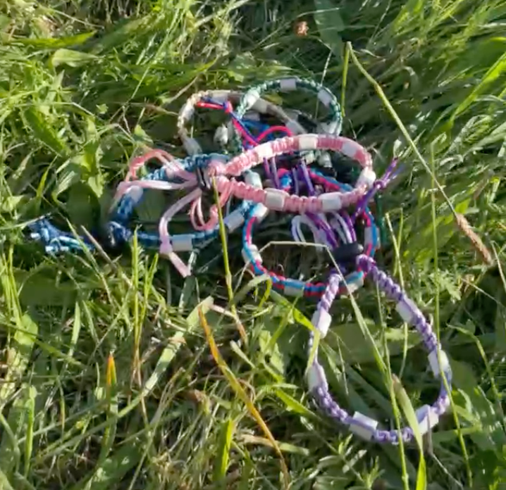 Zeckenhalsband mit EM-Keramik