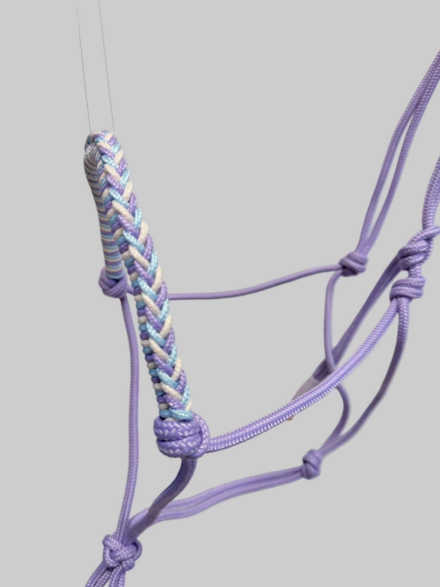 Knotenhalfter Twist Pastellila